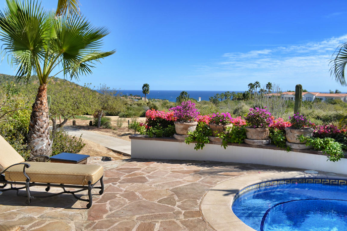 Los Cabos MLS properties in Palmilla Mexico